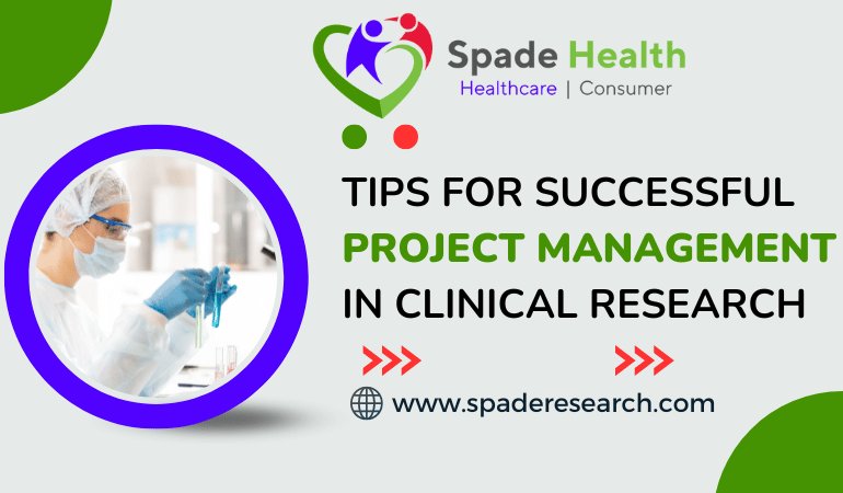 Tips for successful project management